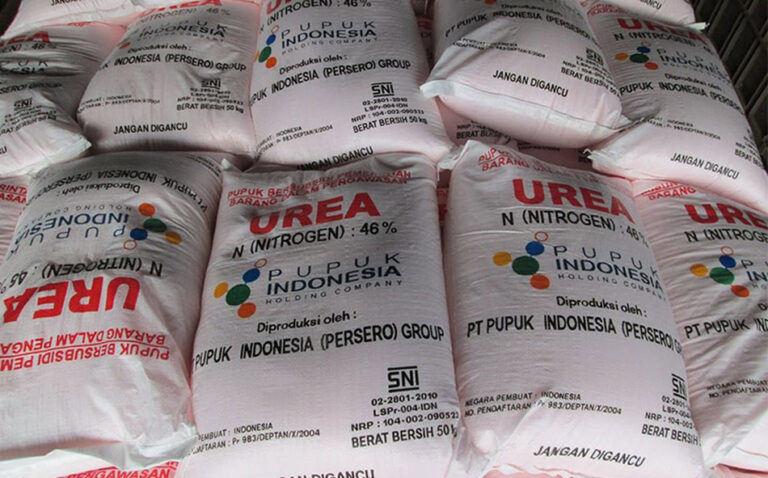 perbedaan kandungan pupuk urea